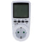 Digital energy cost meter for calculating energy consumption and energy costs