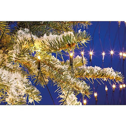 EGB LED light net 1m x 1m 96 ww LED 4027236043430