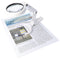 LED hand or table lamp LE037, portable magnifier, table or hand magnifier with 8 LEDs, 2 magnificati