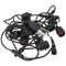 Velamp CASSIOPEA: IP44 solar powered light chain, 10 meters, 10 transparent bulbs, black cable