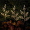 Goobay set of 3 light trees with 75 LEDs - with timer function, warm white (3000 K), battery-operate
