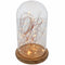 Goobay glass bell with LED micro light chain - with wooden base, USB cable 115 cm, light chain 5 m w
