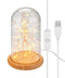 Goobay glass bell with LED micro light chain - with wooden base, USB cable 115 cm, light chain 5 m w