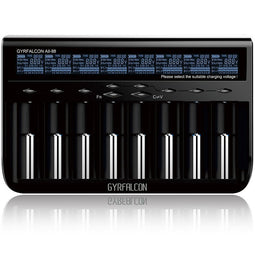 8-way quick charger charges 1 to 8 pieces of Li-Ion, LiFePO4, NiMH and Ni-Cd