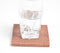 Botanical Hand Carved Wooden Coasters with Box (set of 6)