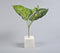 Classic Marble & Glass Test Tube Plant Pot