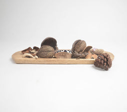 Earthy Pine Cone, Corn, Coco Cap & Mixed Herbs Potpourri (200g pack)