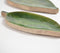 Enamelled Leaves Wooden Serving Trays (Set of 2)