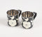 Hand Painted Stainless steel Mugs (Set of 2)_1