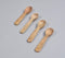 Mango Wood Classic Measuring Spoon (Set of 4)