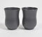Matte Black Stainless Steel Glasses (Set of 2)