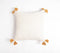 Pink Panther & Cheetah Cushion Cover