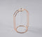 Rose-Gold Metal & Glass Test Tube Planter Vases (set of 2)