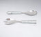 Stainless Steel & Galvanized Iron Salad Servering Spoons (Set of 2)