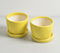 Sunshine Ceramic Mini Flower pots (set of 2)