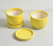 Sunshine Ceramic Mini Flower pots (set of 2)