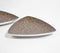 Textured Aluminium Pizza Slice Plate (Set of 2)