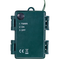 Beliani WHITEHORN - Krans - Groen - PVC