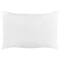 Beliani VIOZENE - Tuinkussen set van 2 - Groen - 40 x 60 cm - Polyester