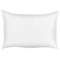 Beliani MOLTEDO - Tuinkussen set van 2 - Wit - 40 x 60 cm - Polyester