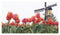 Bulbfield Tulips - Linen - 36 count - 473