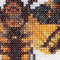 Death's-head Hawk moth - Linen - 32 count - 563