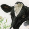 Cow (back) - Linen - 32 count - 452