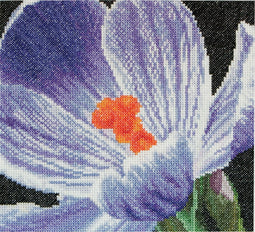 Crocus - Aida - 18 count - 487A