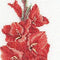 Gladioli Red - Linen - 36 count - 3073