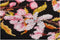 Japanese Blossom - Aida Black - 18 count - 481.05