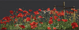 Poppies - Aida Black - 18 count - 546.05