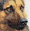 Shepherd's Dog - Linen - 24 count - 934
