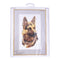 Shepherd's Dog - Linen - 24 count - 934