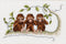 Three Wise Monkeys - Aida - 16 count - 1031A