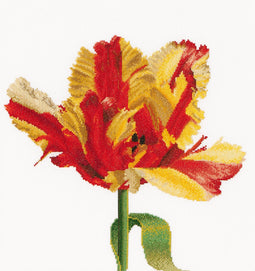 Red/Yellow Parrot Tulip - Linen - 32 count - 519
