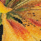 Lily - Aida - 18 count - 486A