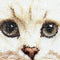White Persian Cat - Aida - 16 count - 1045A