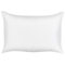 Beliani VEREZZI - Tuinkussen set van 2 - Meerkleurig - 40 x 60 cm - Polyester