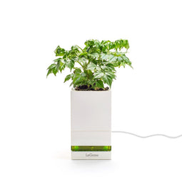 LeGrow LeGrow |Quick Charging Pot| 1-Pot / Type G (UK)