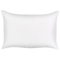 Beliani TORBORA - Tuinkussen set van 2 - Blauw/Wit - 40 x 60 cm - Polyester