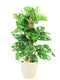 Monstera Monkey Leaf in ELHO sierpot (soap)