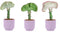 Trio Euphorbia lactea ‘Cristata’ in Jane keramiek (Purple)