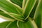 Ecosysteem ‘Green feathers’ met verlichting