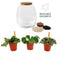 Plant Puzzel ® Discover the World Ecosysteem met verlichting