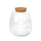 Plant Puzzel ® Discover the World Ecosysteem met verlichting