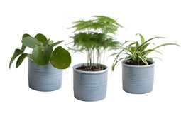 Mini Green | Hip Trio in Laos keramiek (blauwgrijs)