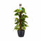 Decorum Scindapsus Mosstok 80 cm met Elho brussels black