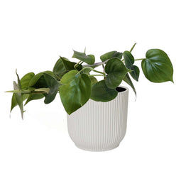 Decorum Philodendron Scandens in ELHO sierpot Vibes Fold (zijdewit)