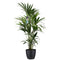 Decorum Kentia met Elho brussels living black Decorum Kentia met Elho brussels soap