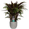 Decorum Calathea Elgergrass in Mica sierpot Jimmy (lichtgrijs)